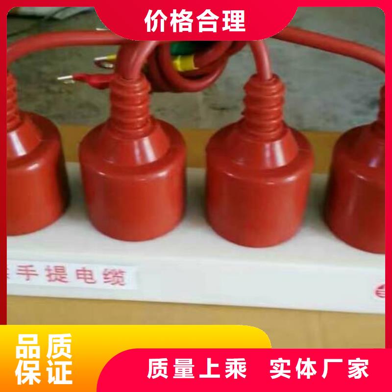 过电压保护器金属氧化物避雷器24小时下单发货羿振复合绝缘子