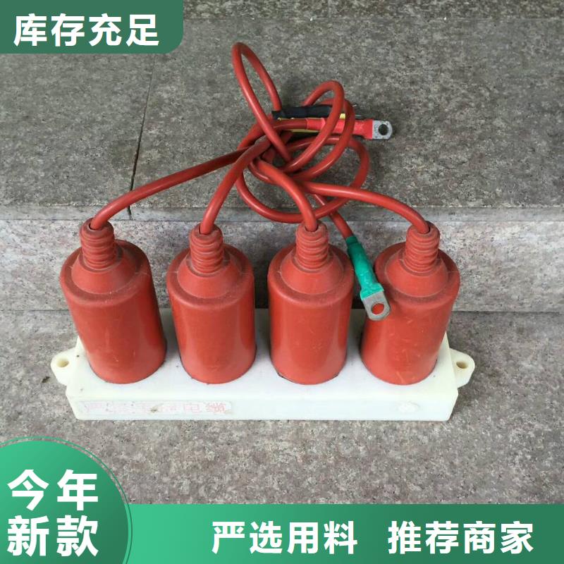 【过电压保护器】三相组合式避雷器优选好材铸造好品质羿振复合绝缘子