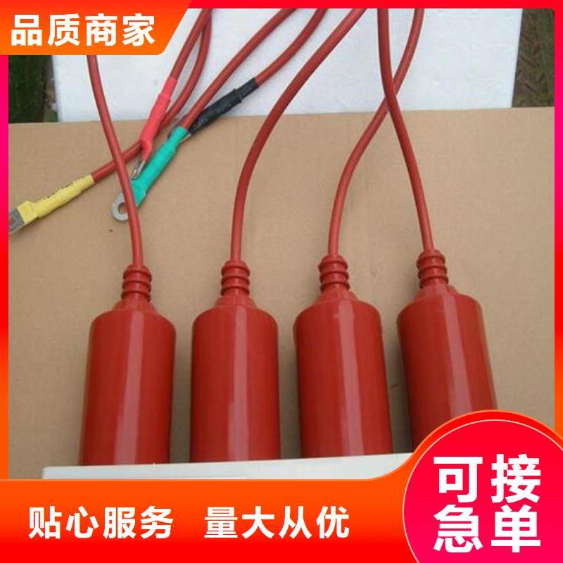 【过电压保护器】三相组合式避雷器优选好材铸造好品质羿振复合绝缘子