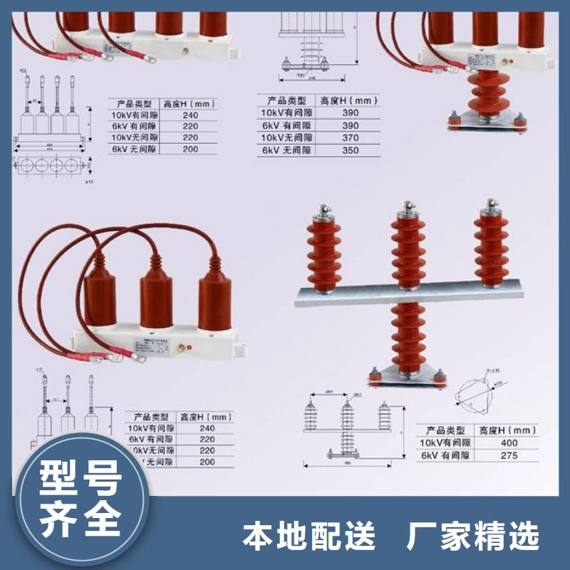 过电压保护器金属氧化物避雷器24小时下单发货羿振复合绝缘子