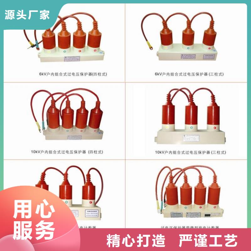 过电压保护器,【真空断路器】专业生产团队