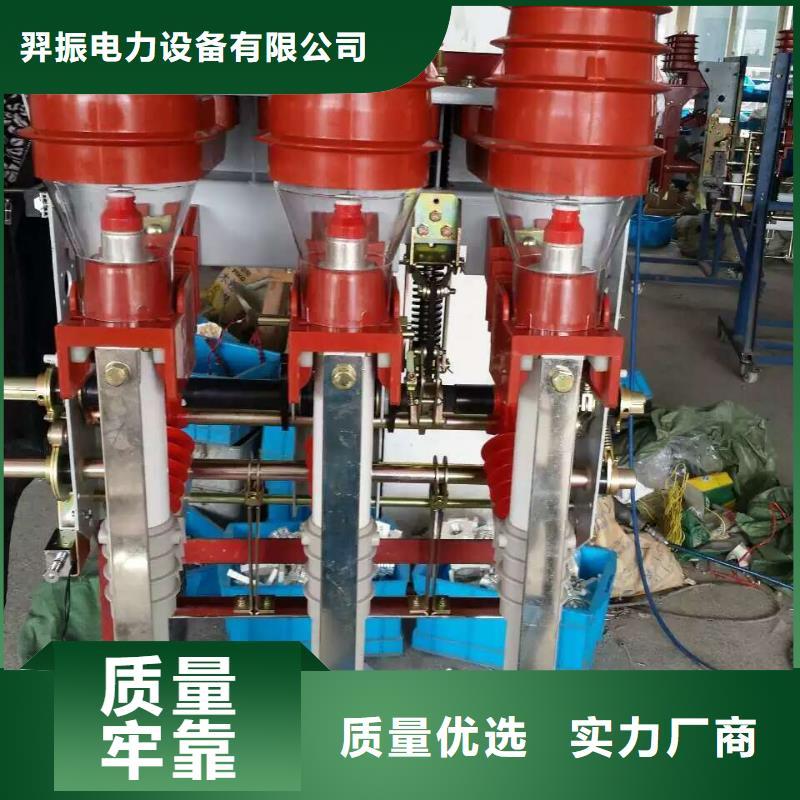 |岚皋|石泉|铜川|咸阳|宝鸡|榆林|汉中|商洛|延安羿振负荷开关跌落式熔断器讲信誉保质量