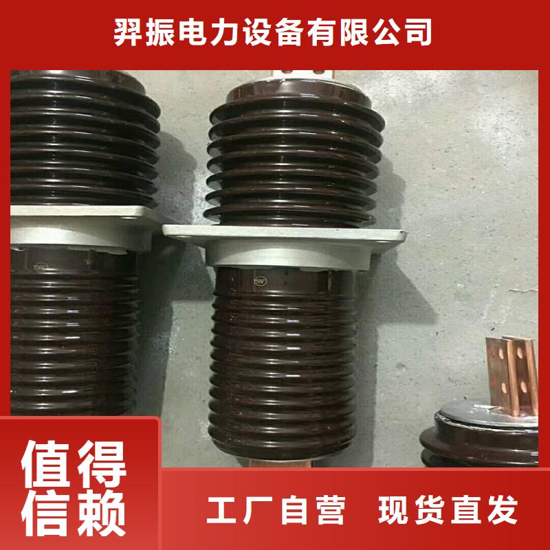 穿墙套管真空断路器厂家直销规格多样