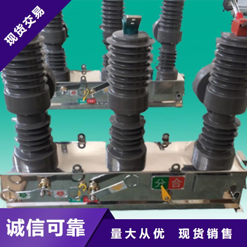羿振ZW32真空断路器三相组合式避雷器支持批发零售-阿奇乐乐