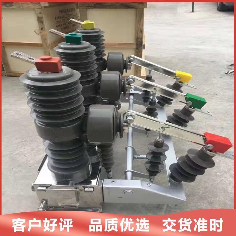 羿振ZW32真空断路器三相组合式避雷器支持批发零售-阿奇乐乐