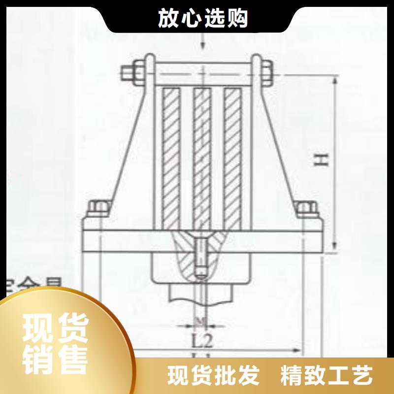 复合绝缘子视频-北海市复合绝缘子-(本地)可服务区域合浦|海城|贺州|玉林|百色|柳州|南宁|河池