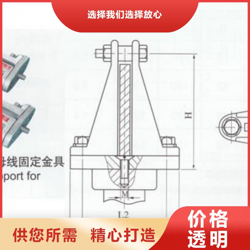 复合绝缘子-视频-贵州省六盘水市|盘县|六枝特|铜仁|黔西南|黔东南|毕节复合绝缘子-羿振