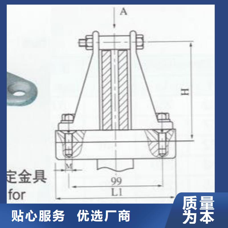 复合绝缘子视频-北海市复合绝缘子-(本地)可服务区域合浦|海城|贺州|玉林|百色|柳州|南宁|河池