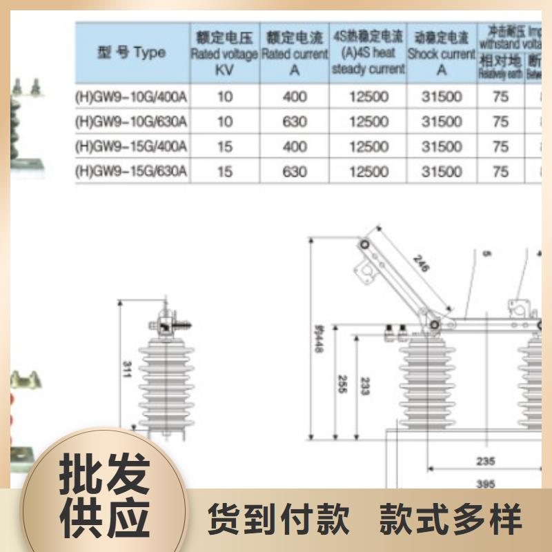 GW9隔离开关绝缘子本地配送同城经销商