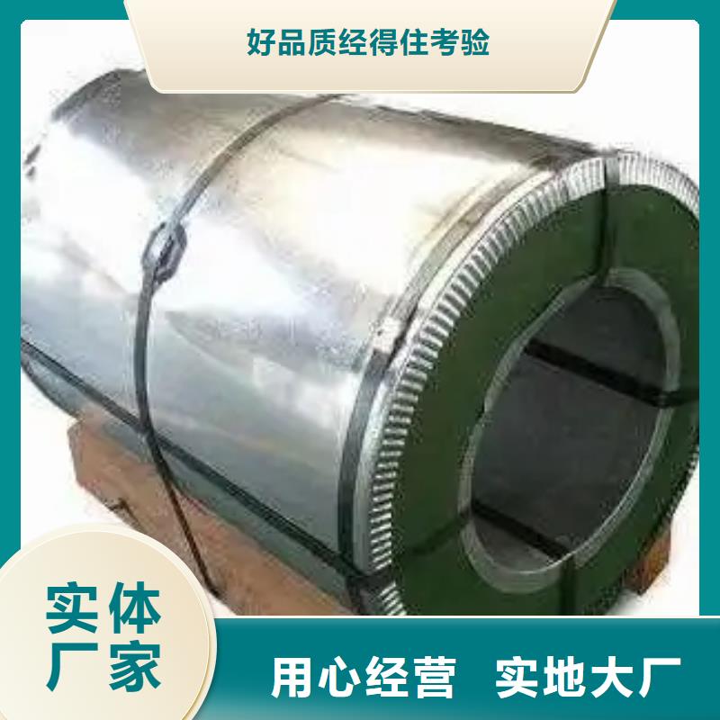 取向铁芯M095-23P