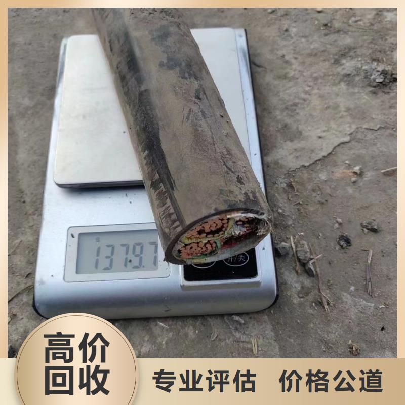 不锈钢桥架-视频-安徽省巢湖市睿越不锈钢桥架可服务区域黄山|六安|淮北|滁州|宿州等