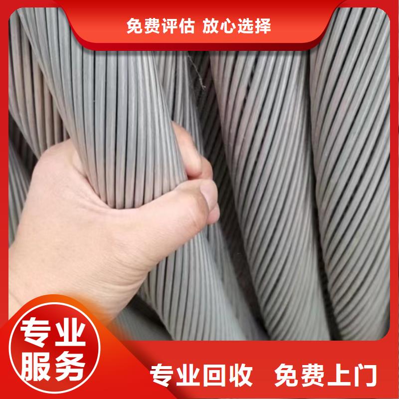 不锈钢桥架-视频-安徽省巢湖市睿越不锈钢桥架可服务区域黄山|六安|淮北|滁州|宿州等
