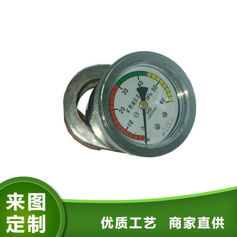 【 单体支柱测压仪用的放心】当地品牌
