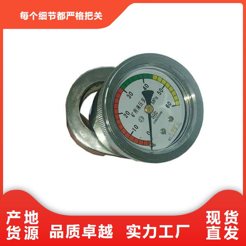 【 单体支柱测压仪 顶板离层仪厂家直销售后完善】