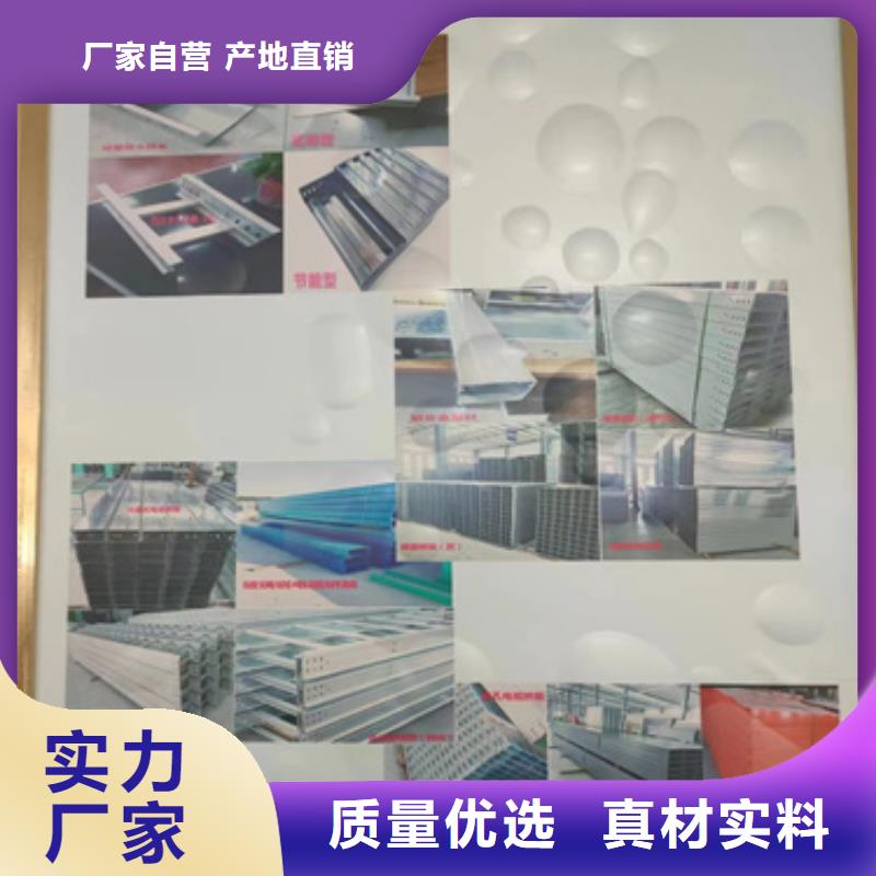 【 电缆桥架_防火桥架快速生产】-文泽金属制品(德阳市分公司)