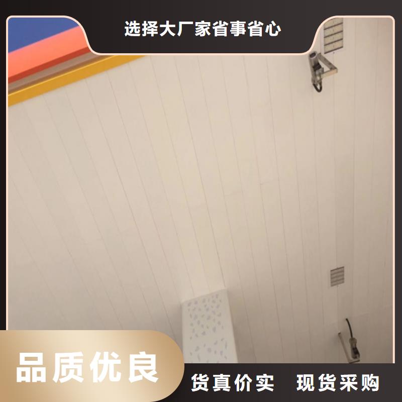铝格栅-视频-广东省揭阳市顶盛铝格栅可服务区域揭东|揭西|韶关|佛山|湛江|阳江等
