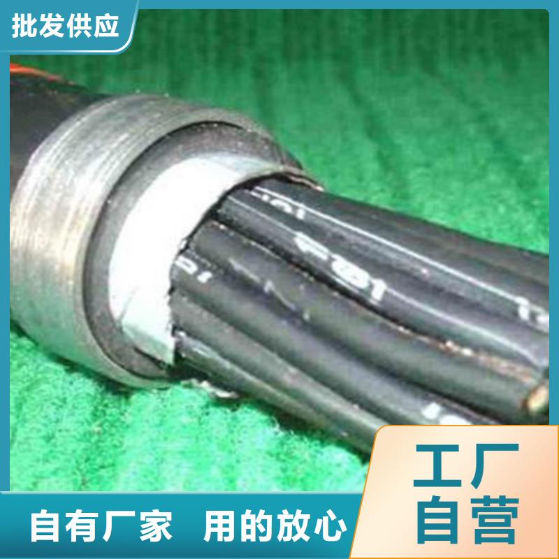 特种电缆铁路信号电缆实力厂家