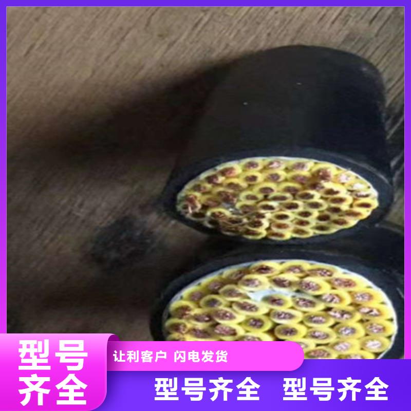 屏蔽电缆视频-通辽|锡林郭勒|鄂尔多斯|乌海|阿拉善|包头|呼伦贝尔电缆屏蔽电缆_ 电缆总厂分厂(内蒙古分公司)