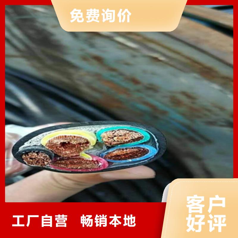 屏蔽电缆视频-屏蔽电缆-山东省青岛市城阳|胶州|德州|菏泽|东营|泰安|日照(同城)品牌