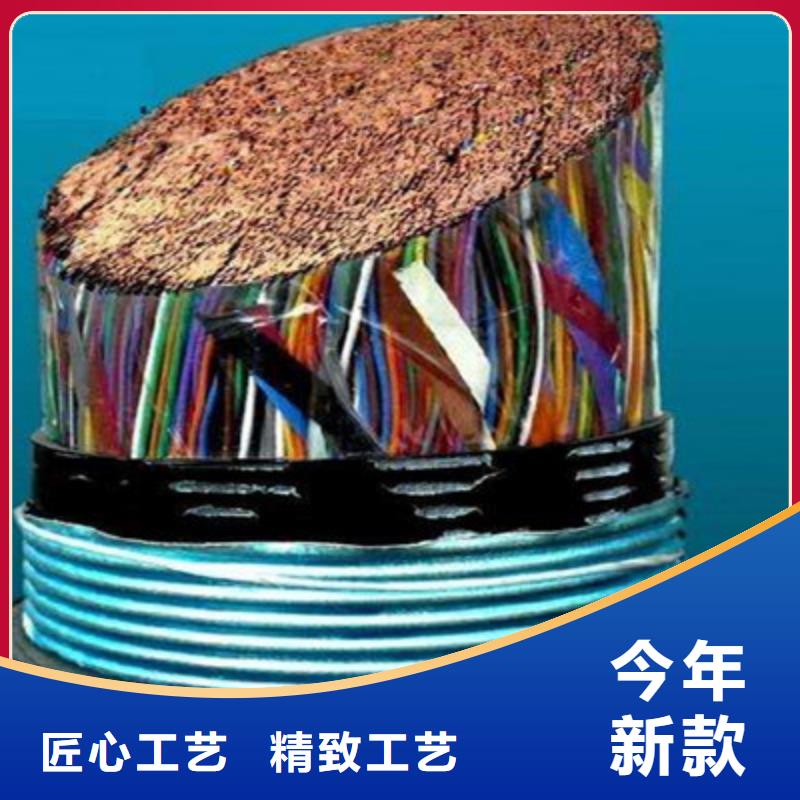 通信电缆一周内发货