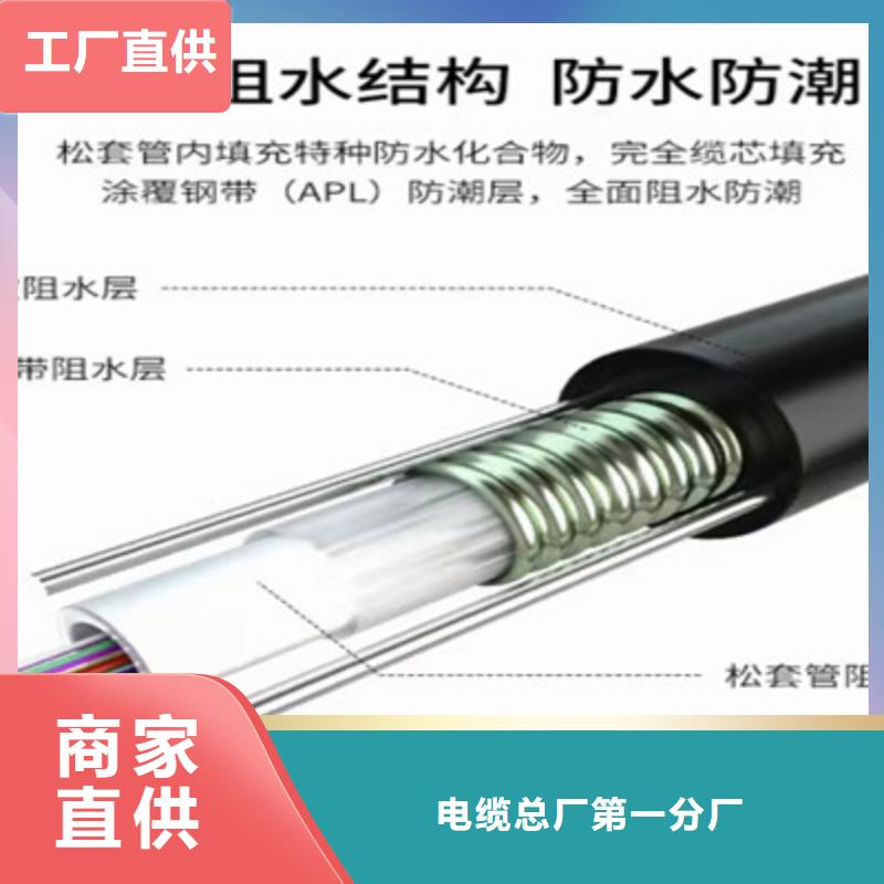 屏蔽电缆-视频-延津|卫滨|濮阳|洛阳|信阳|驻马店|开封|安阳屏蔽电缆保障产品质量-电缆总厂分厂(新乡市分公司)