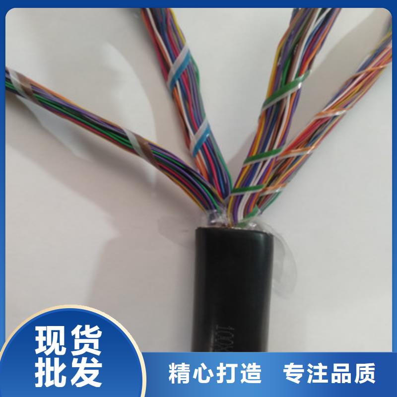 通信电缆【信号电缆】欢迎来厂考察