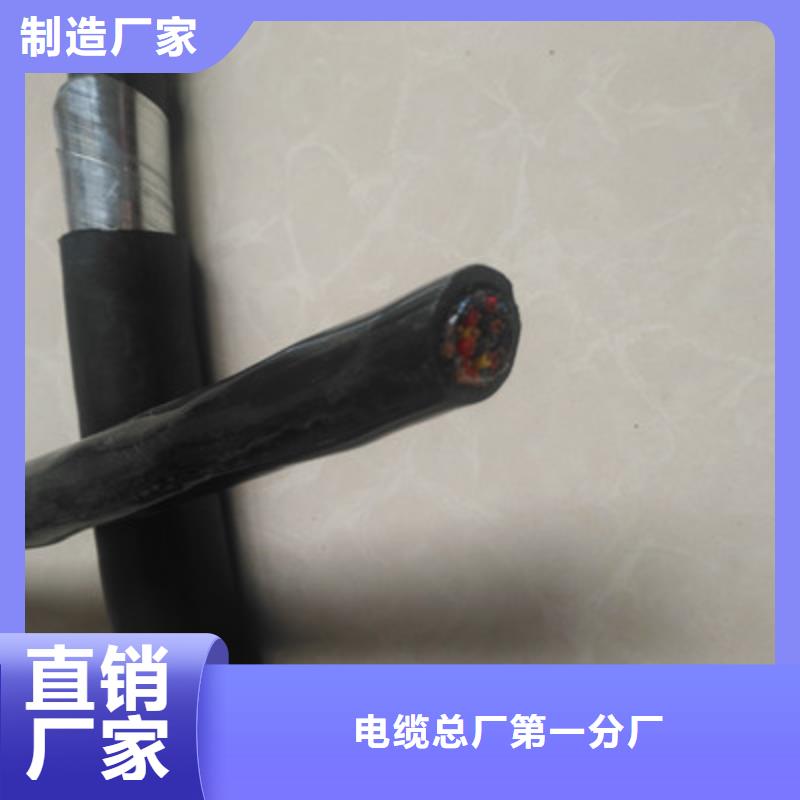 屏蔽电缆-视频-延津|卫滨|濮阳|洛阳|信阳|驻马店|开封|安阳屏蔽电缆保障产品质量-电缆总厂分厂(新乡市分公司)