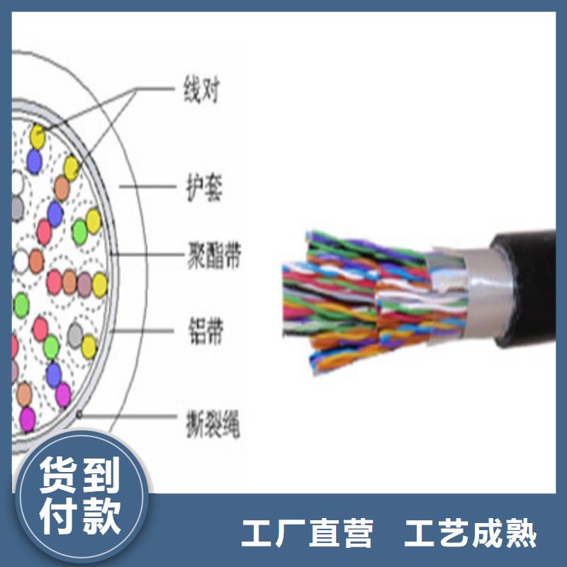 屏蔽电缆视频-原阳|辉|郑州|濮阳|焦作|三门峡|安阳|商丘|开封屏蔽电缆一致好评产品-电缆总厂分厂(新乡市分公司)