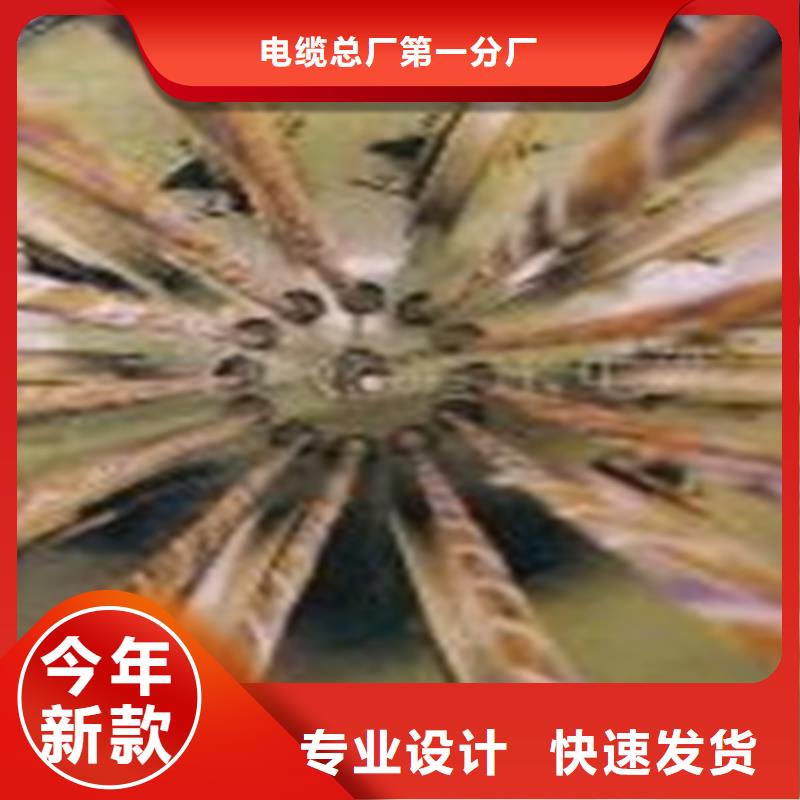 【 通信电缆-电缆生产厂家通过检测】电缆屏蔽电缆
