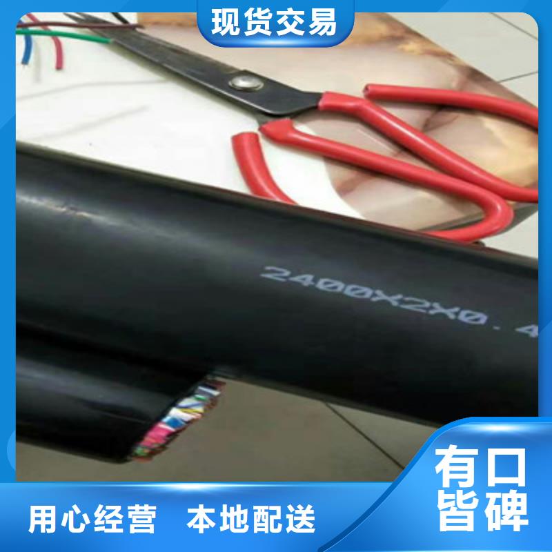 【 通信电缆-电缆生产厂家通过检测】电缆屏蔽电缆