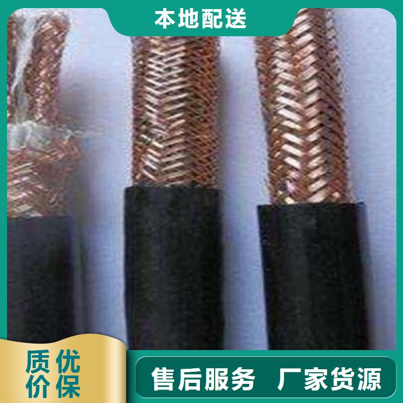 【计算机电缆,屏蔽电缆专业按需定制】