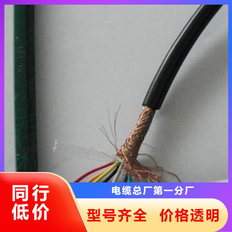 计算机电缆信号电缆做工精细