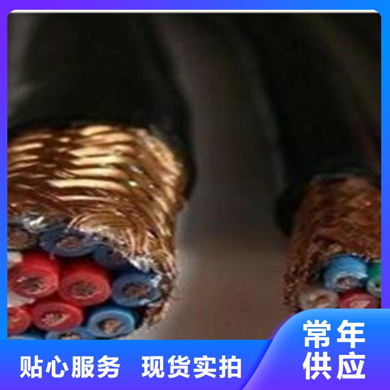 计算机电缆信号电缆货品齐全