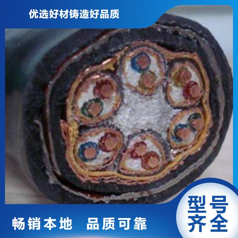 计算机电缆信号电缆现货交易