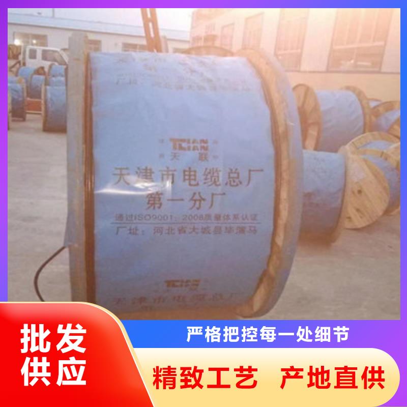 计算机电缆控制电缆质优价廉