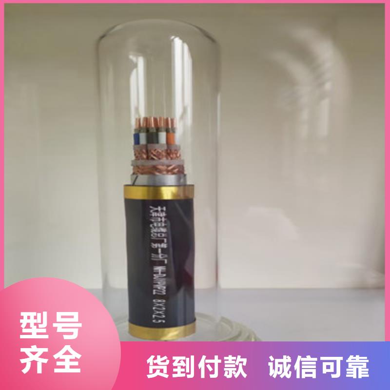 计算机电缆屏蔽电缆供应商