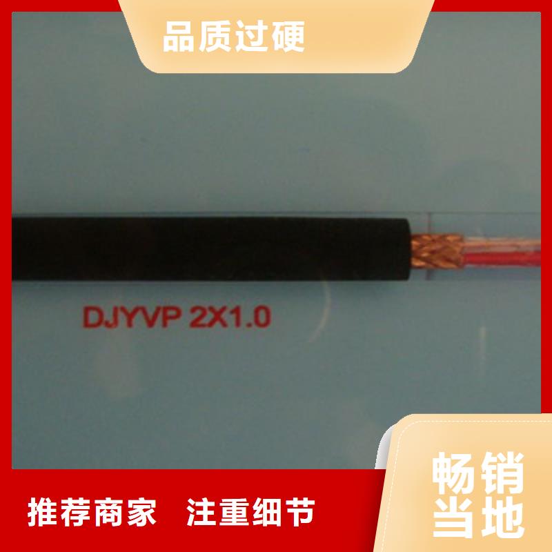 【计算机电缆,屏蔽电缆专业按需定制】