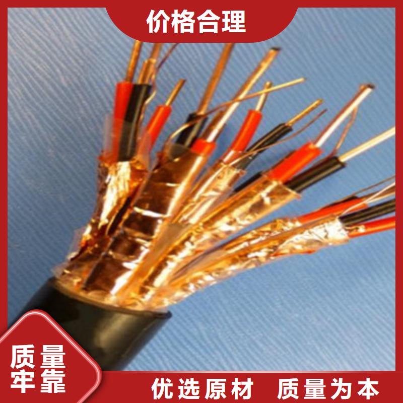 【计算机电缆,屏蔽电缆专业按需定制】