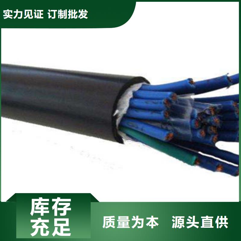 屏蔽电缆视频-山东省东营市电缆屏蔽电缆可服务区域利津|垦利|聊城|德州|菏泽|莱芜|枣庄|青岛|泰安等