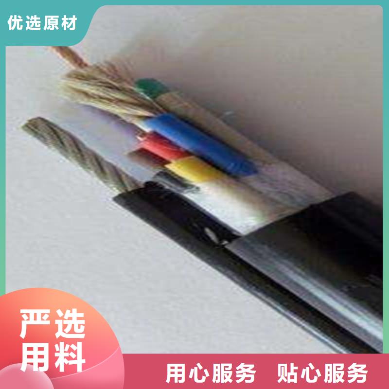 控制电缆信号电缆实力优品