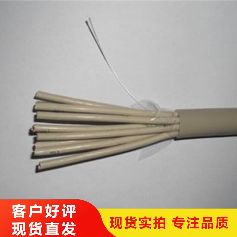 屏蔽电缆视频-山东省东营市电缆屏蔽电缆可服务区域利津|垦利|聊城|德州|菏泽|莱芜|枣庄|青岛|泰安等