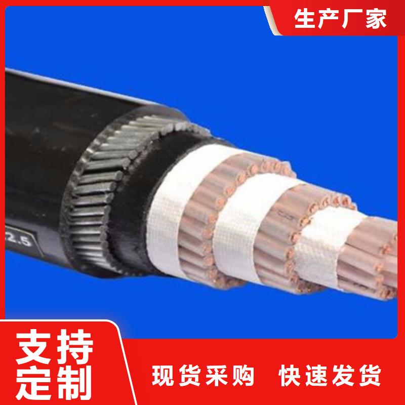 屏蔽电缆-视频-海西市屏蔽电缆-周边可服务区域海南|西宁|玉树|海北|海东|果洛|黄南