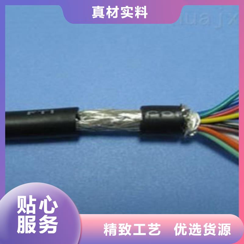 屏蔽电缆-视频-海西市屏蔽电缆-周边可服务区域海南|西宁|玉树|海北|海东|果洛|黄南