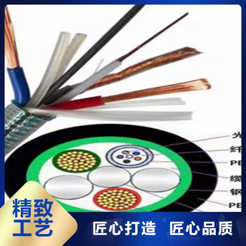屏蔽电缆视频-屏蔽电缆_陕西省榆林市市场覆盖子洲|府谷|西安|安康|铜川|咸阳|延安等