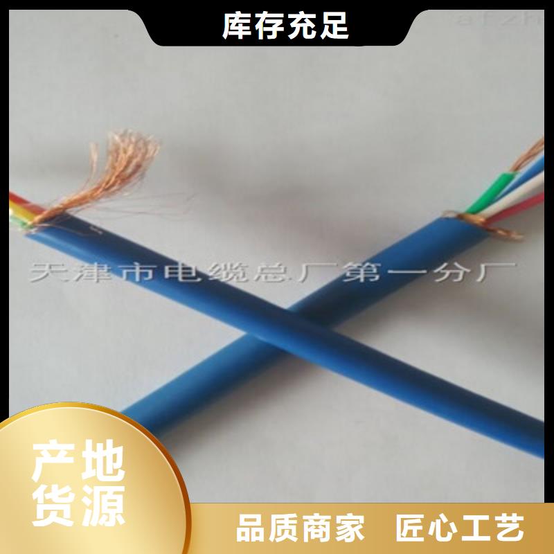 屏蔽电缆-视频-湖南省永州市|东安|零陵|娄底|益阳|株洲|长沙屏蔽电缆-电缆