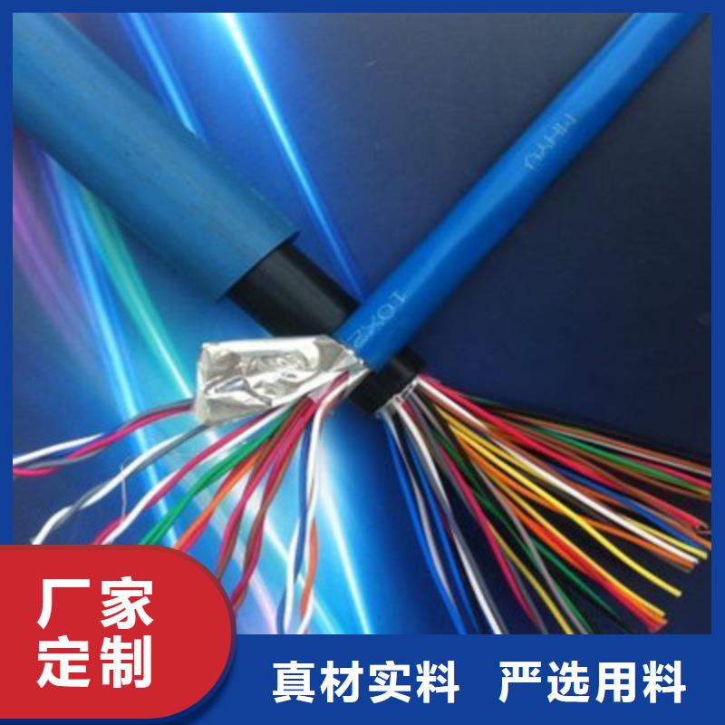 屏蔽电缆-视频-湖南省永州市|东安|零陵|娄底|益阳|株洲|长沙屏蔽电缆-电缆