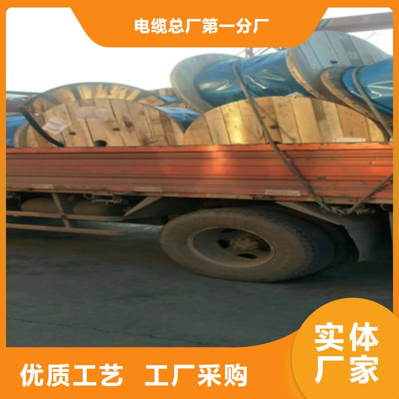 屏蔽电缆视频-屏蔽电缆_青海省黄南市市场覆盖海东|西宁|玉树|海西|果洛等