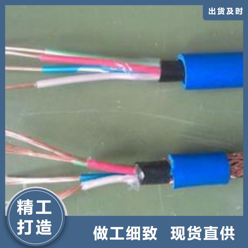耐高温电缆屏蔽电缆一周内发货
