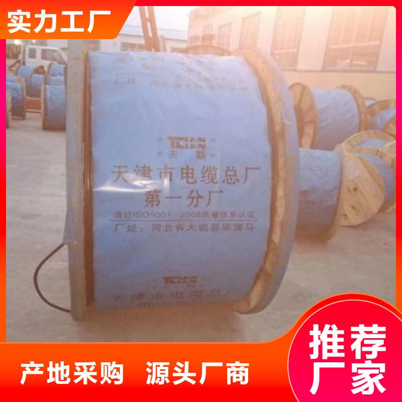 耐高温电缆屏蔽电缆我们更专业