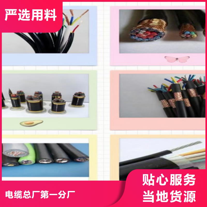 耐高温电缆信号电缆支持批发零售